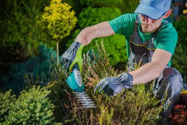 landscaping services Buckley